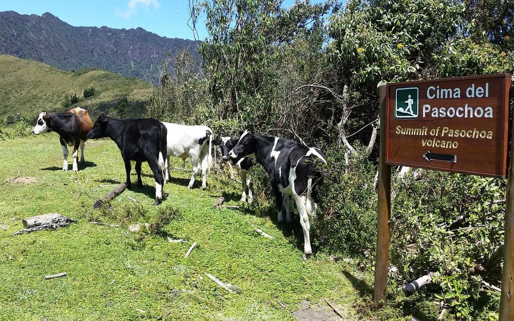 Free Hiking Tours around Quito